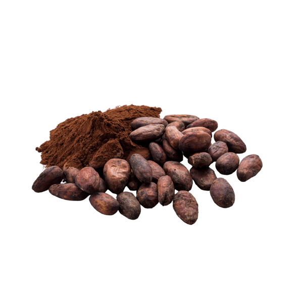 Chocolate Premix Powder